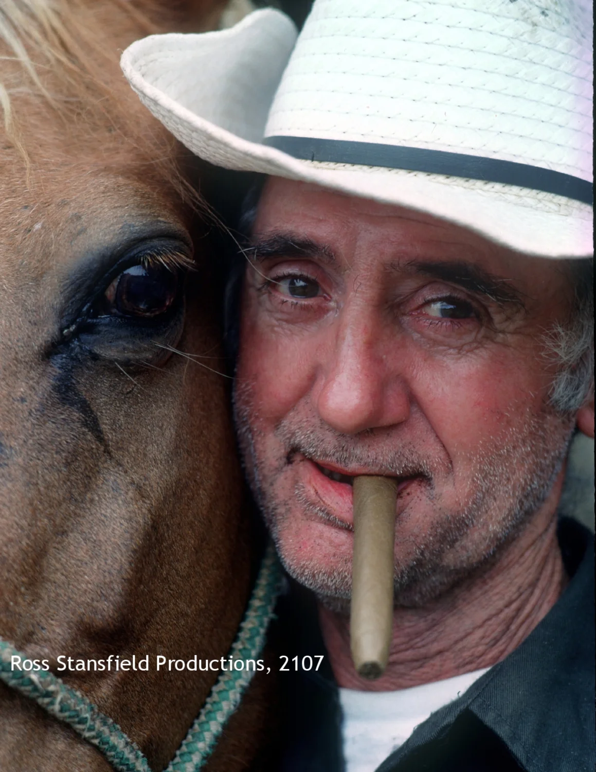 Horse and Owner eye to eye.jpg