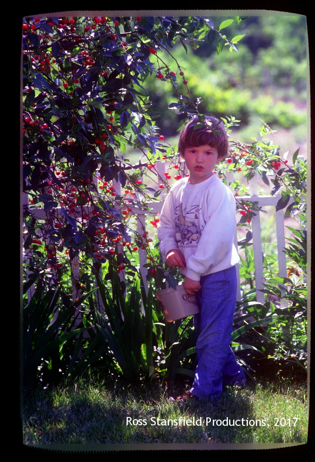 Brian & Cherries rt.jpg