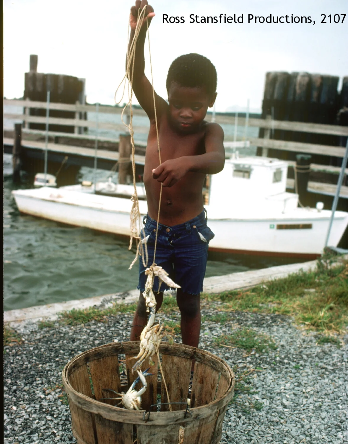Young crabber Eastern Shore
