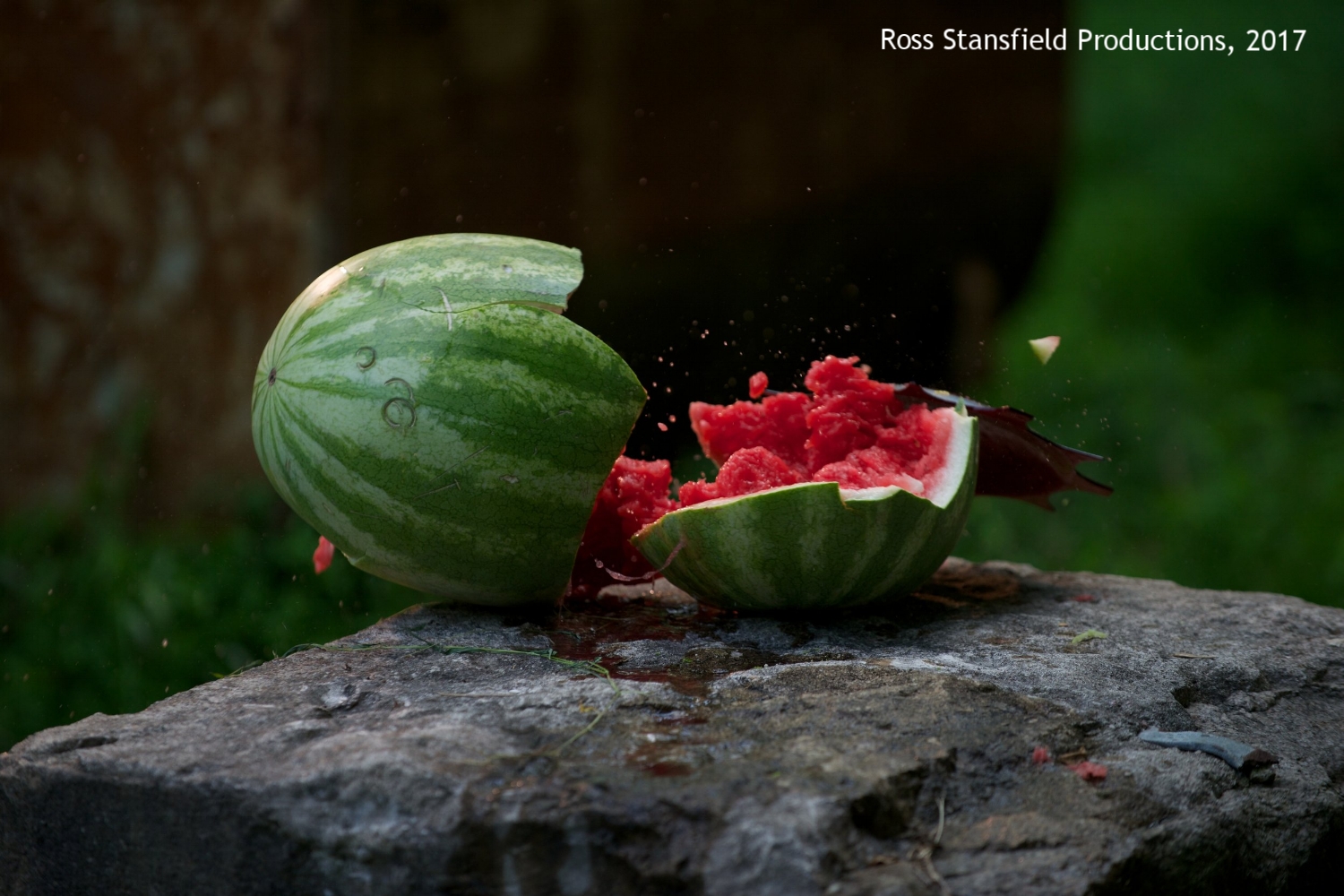 Throwing Stars Split Watermelon