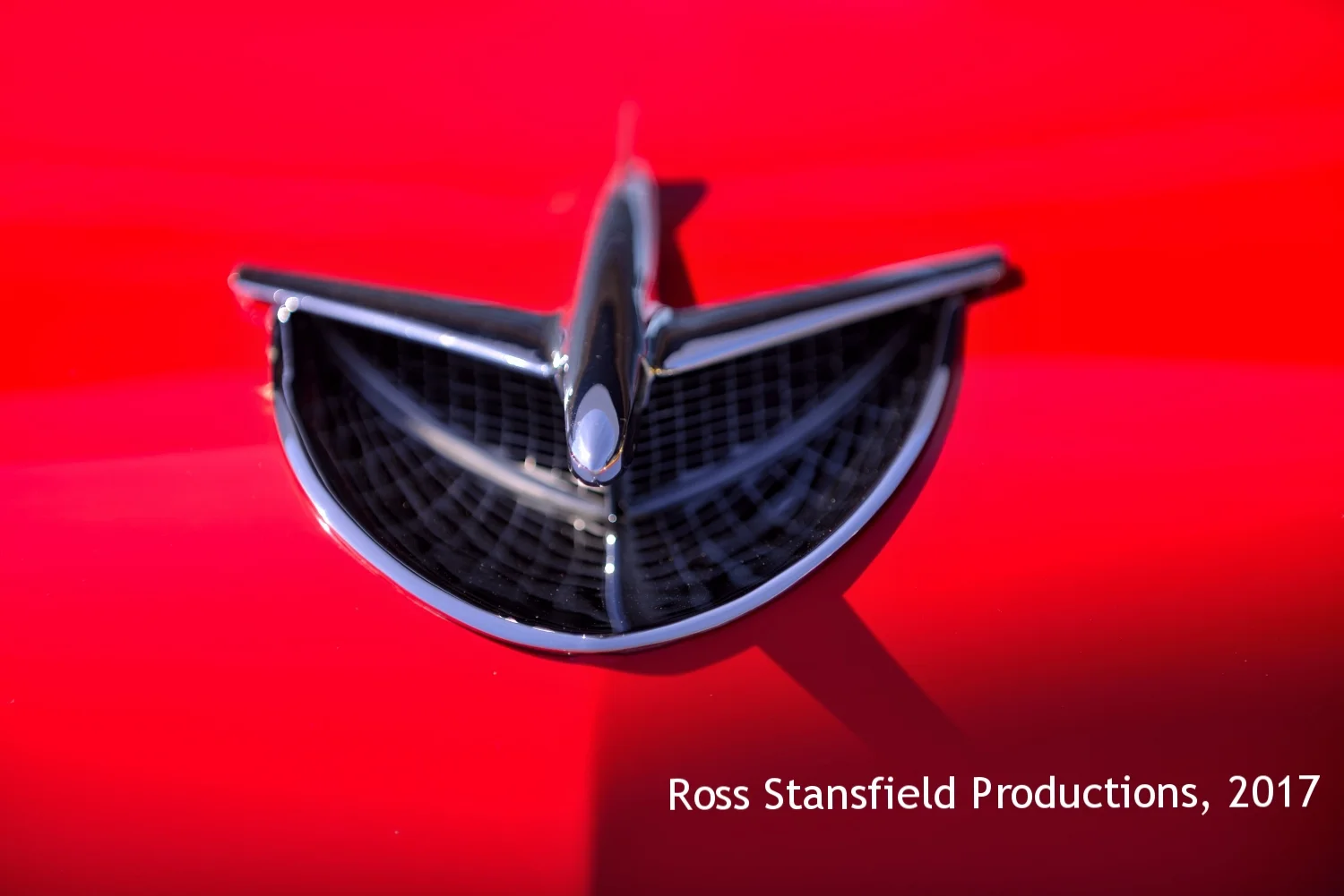 1956 Buick hood ornament