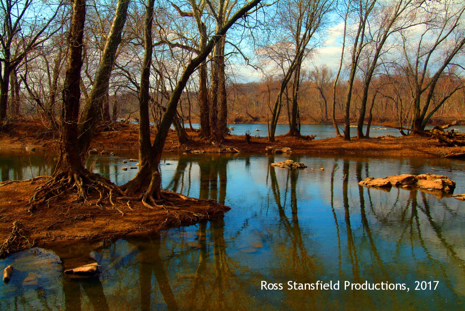 Potomac River exposed roots