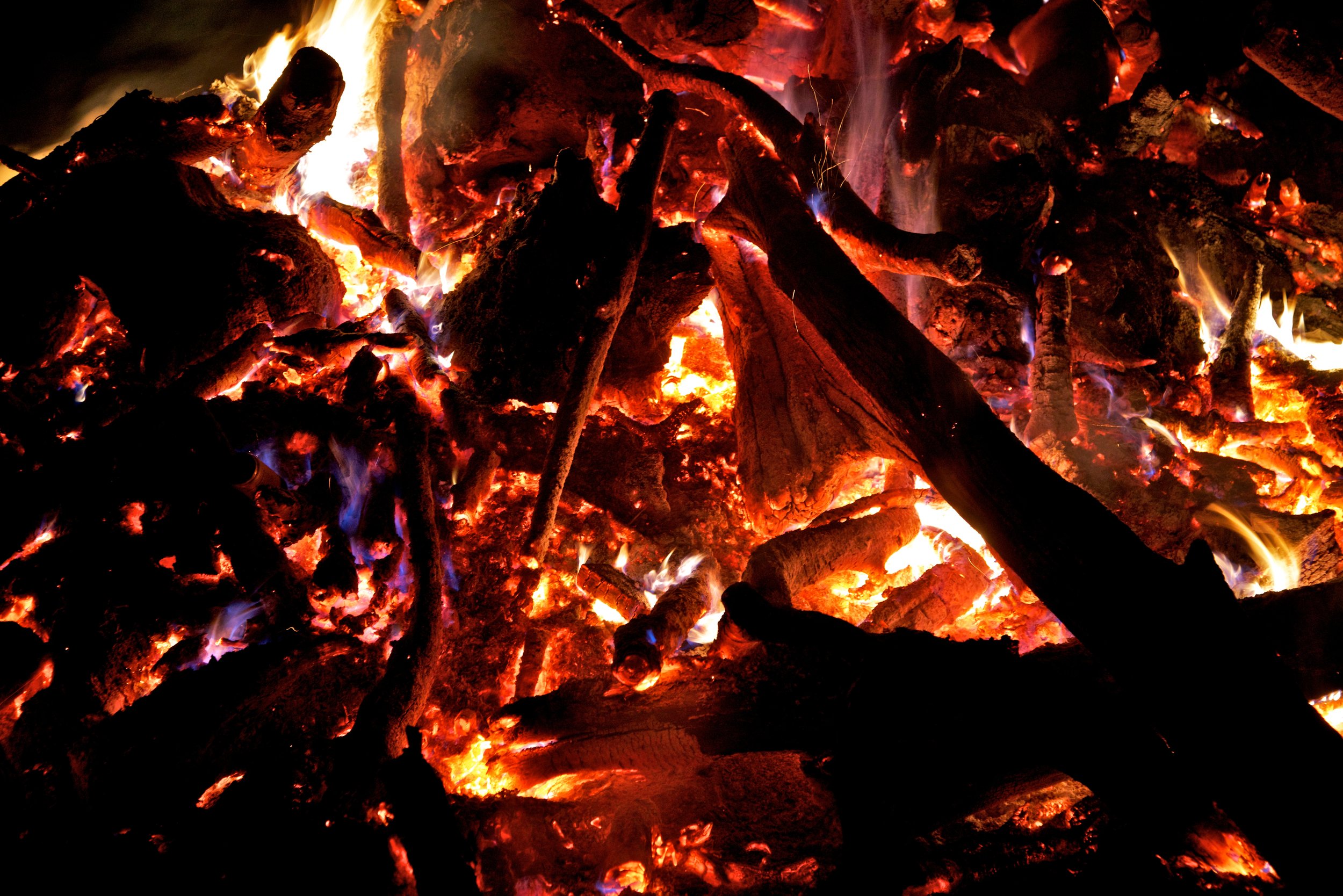 Hogroast 2013 14927.jpg