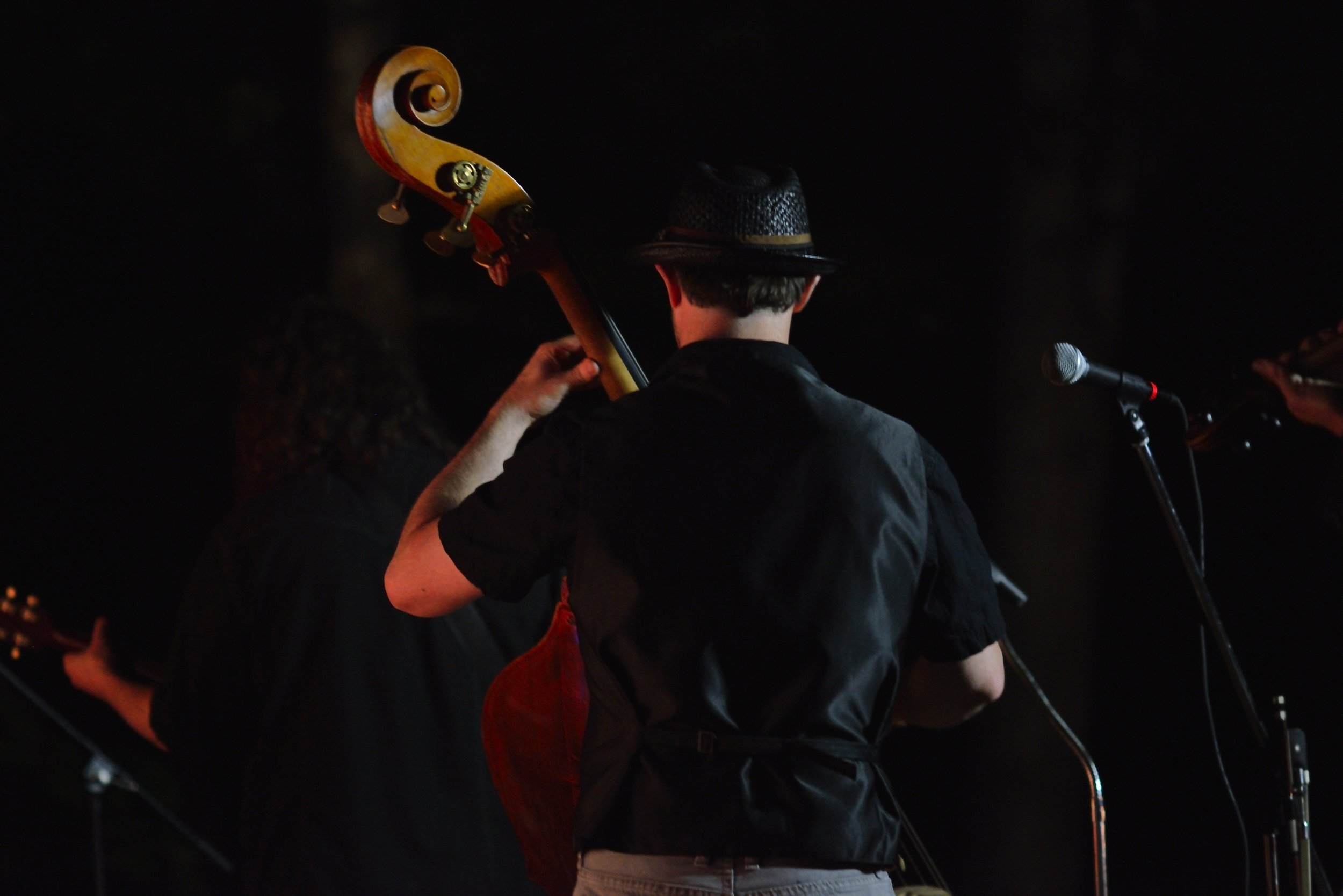 Bass fiddle reverse Hogroast 2014.jpg