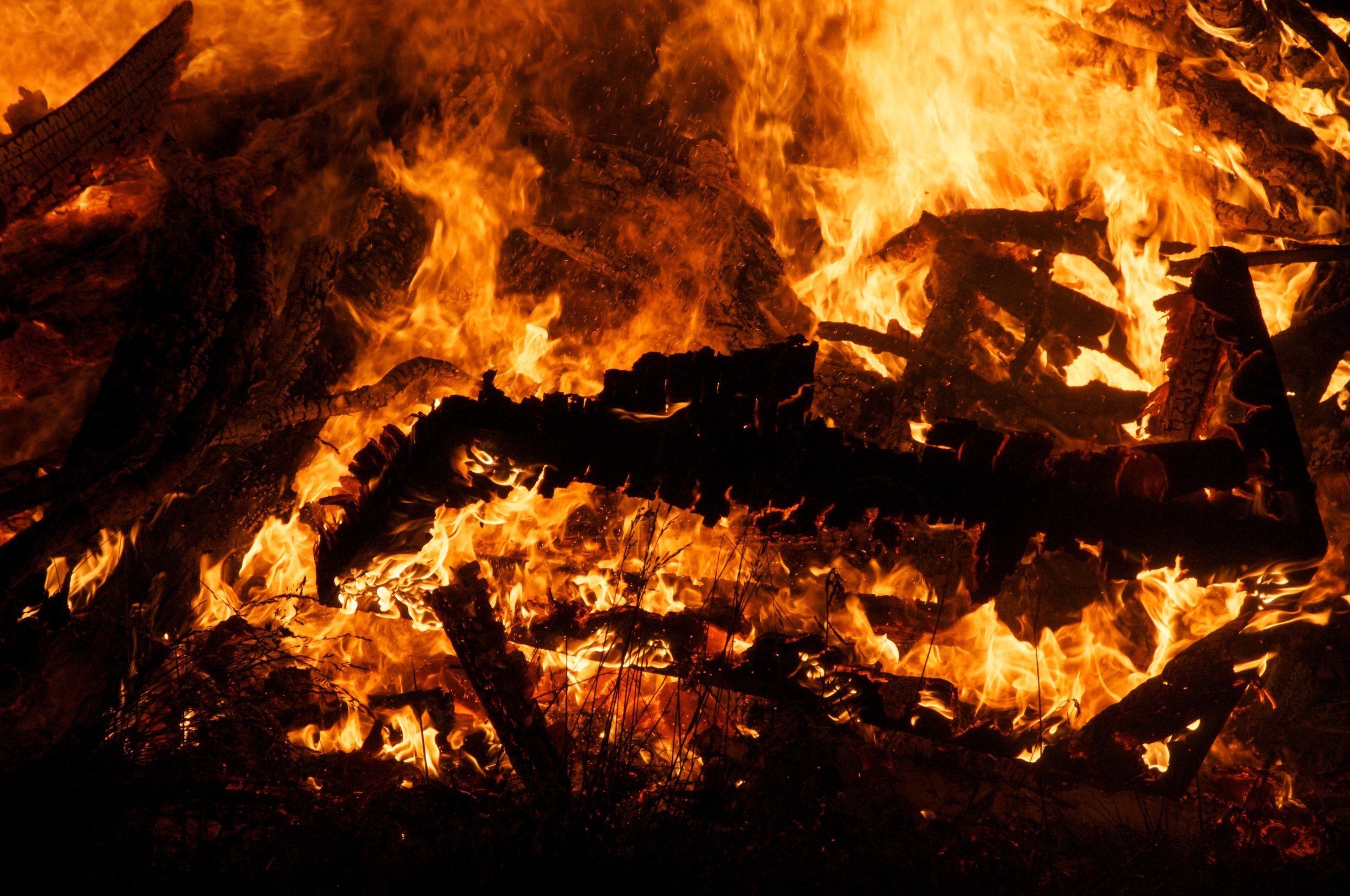 Hog Roast 2012 6756.jpg