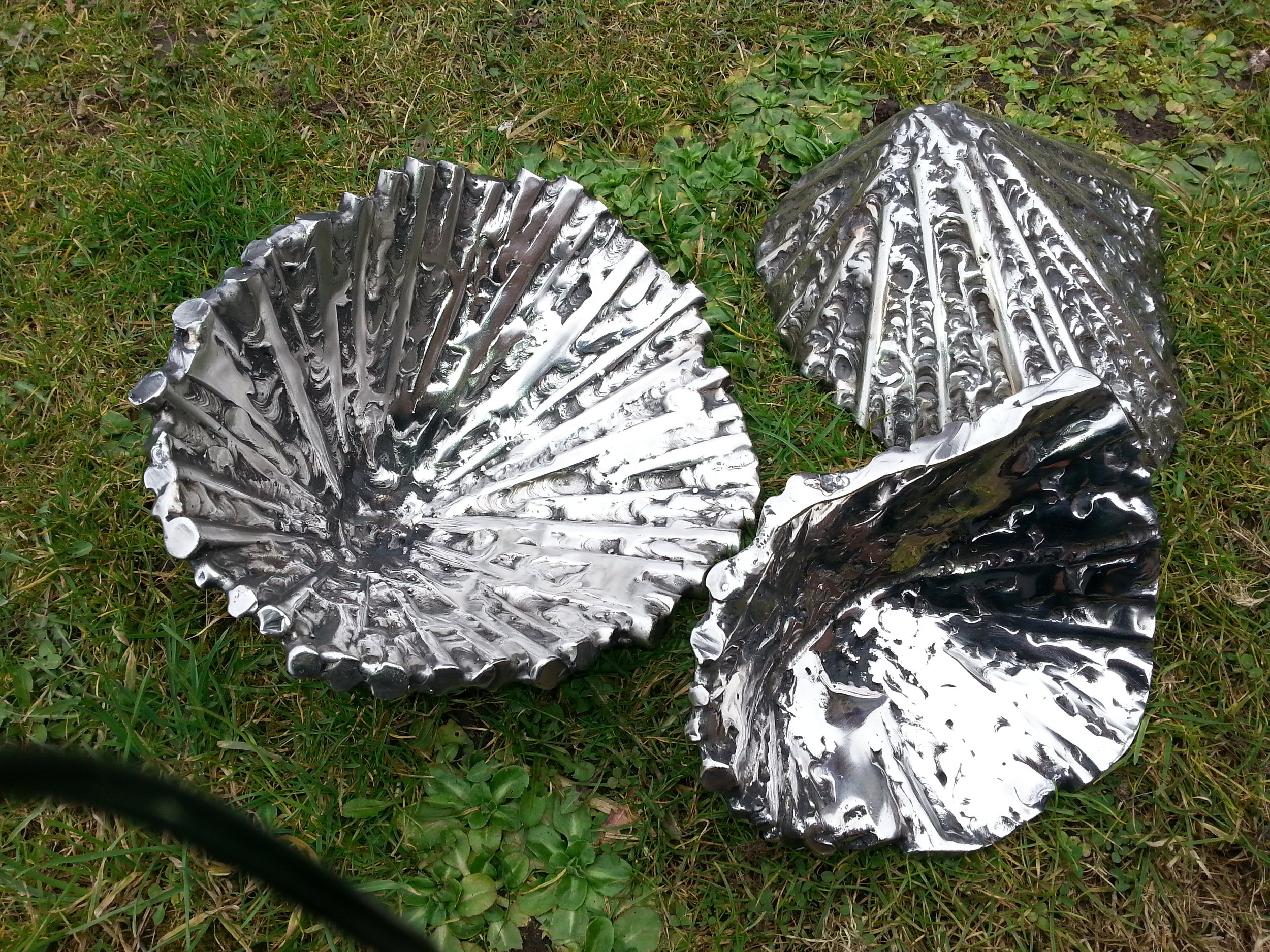 stainless steel limpet shells