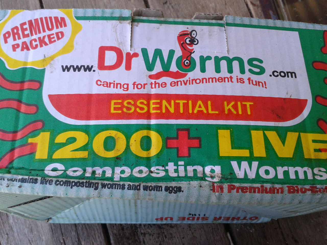 dr worm worms.jpg