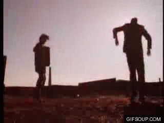 11 copy.gif