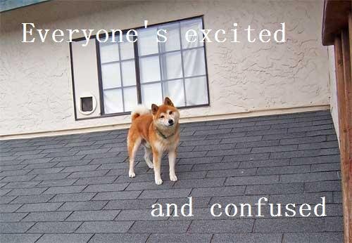 excited and.jpg