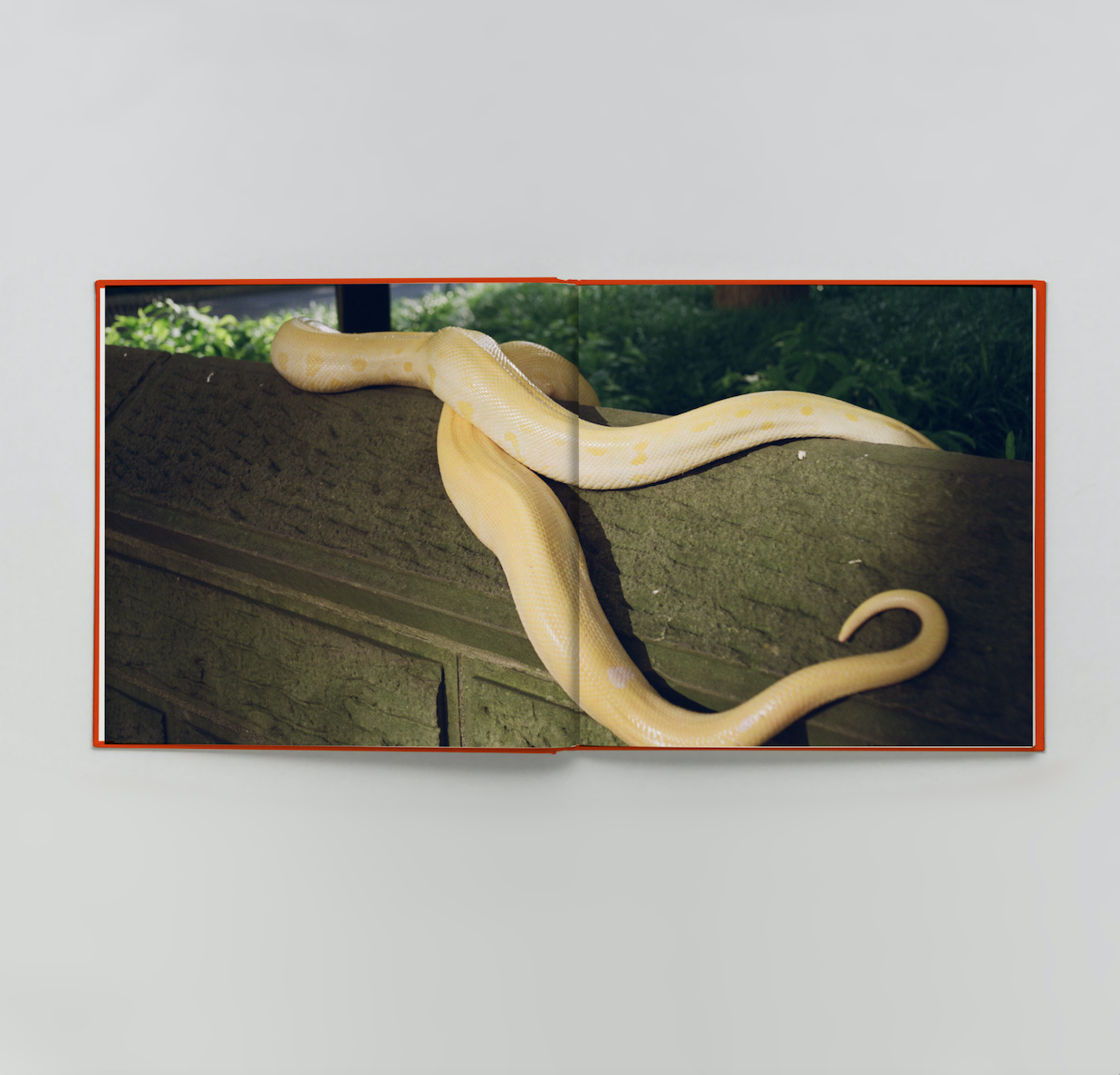 10.png