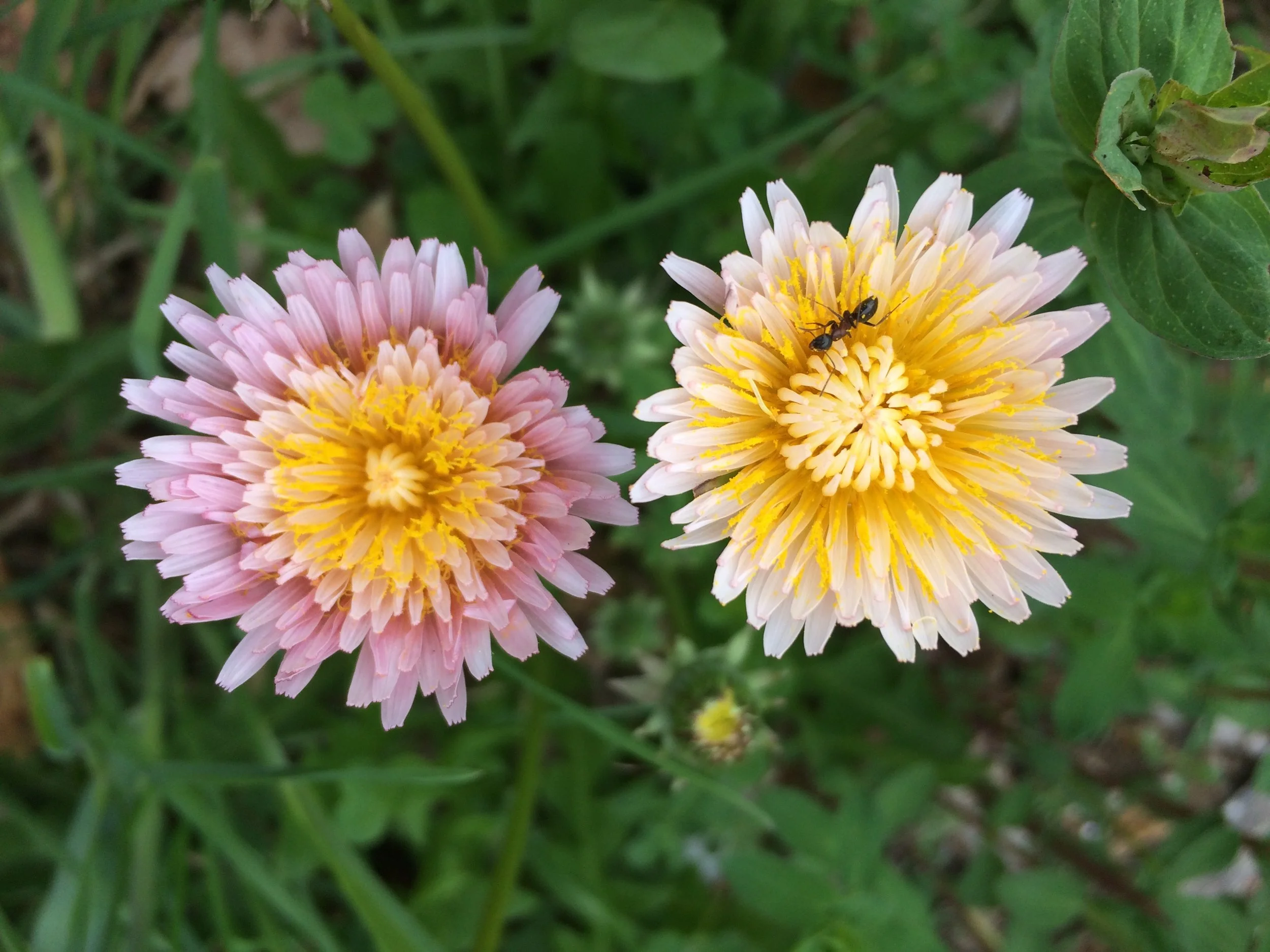 aarons phone june 2018 559.JPG