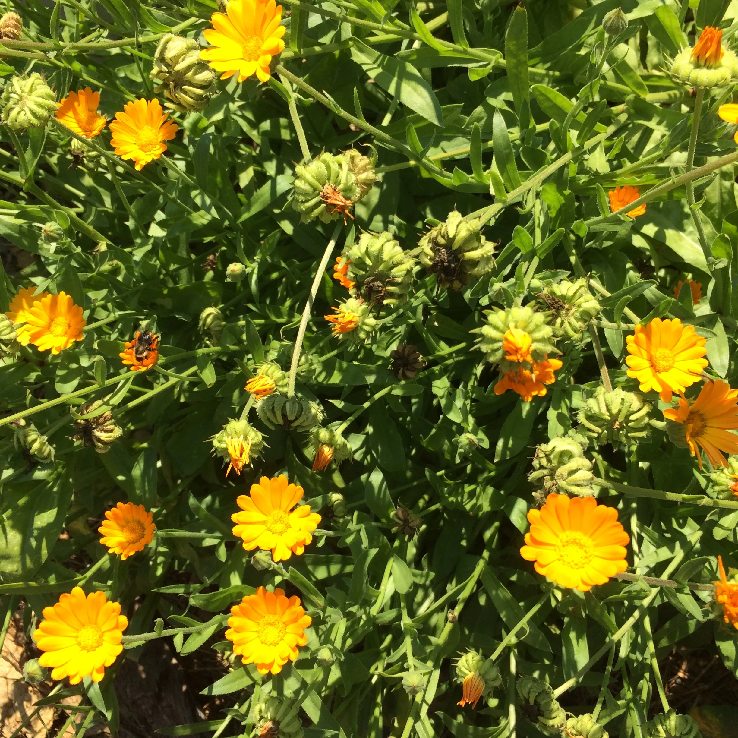 aarons phone 2017 dump 049.JPG