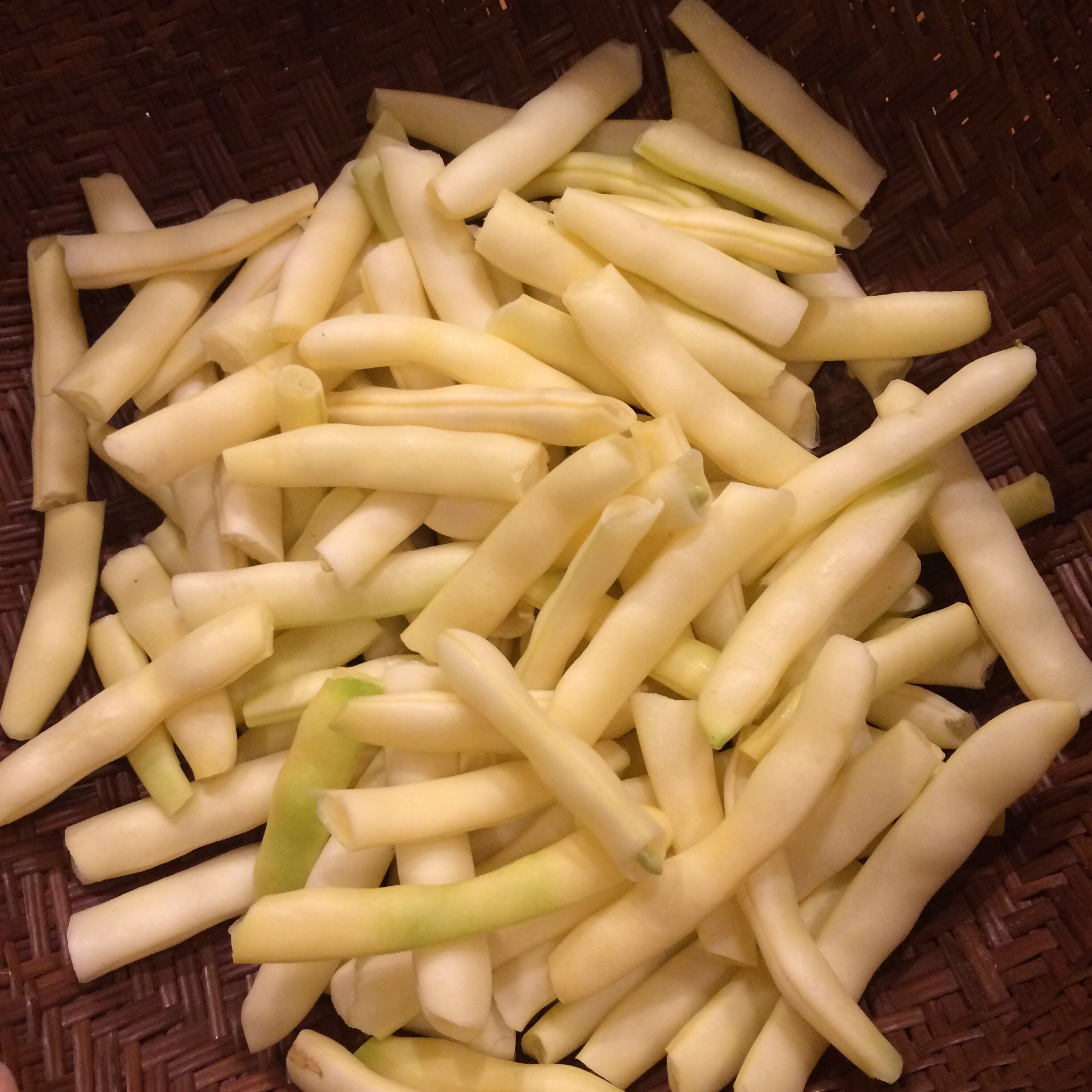 phaseolus vulgaris goldrush.JPG