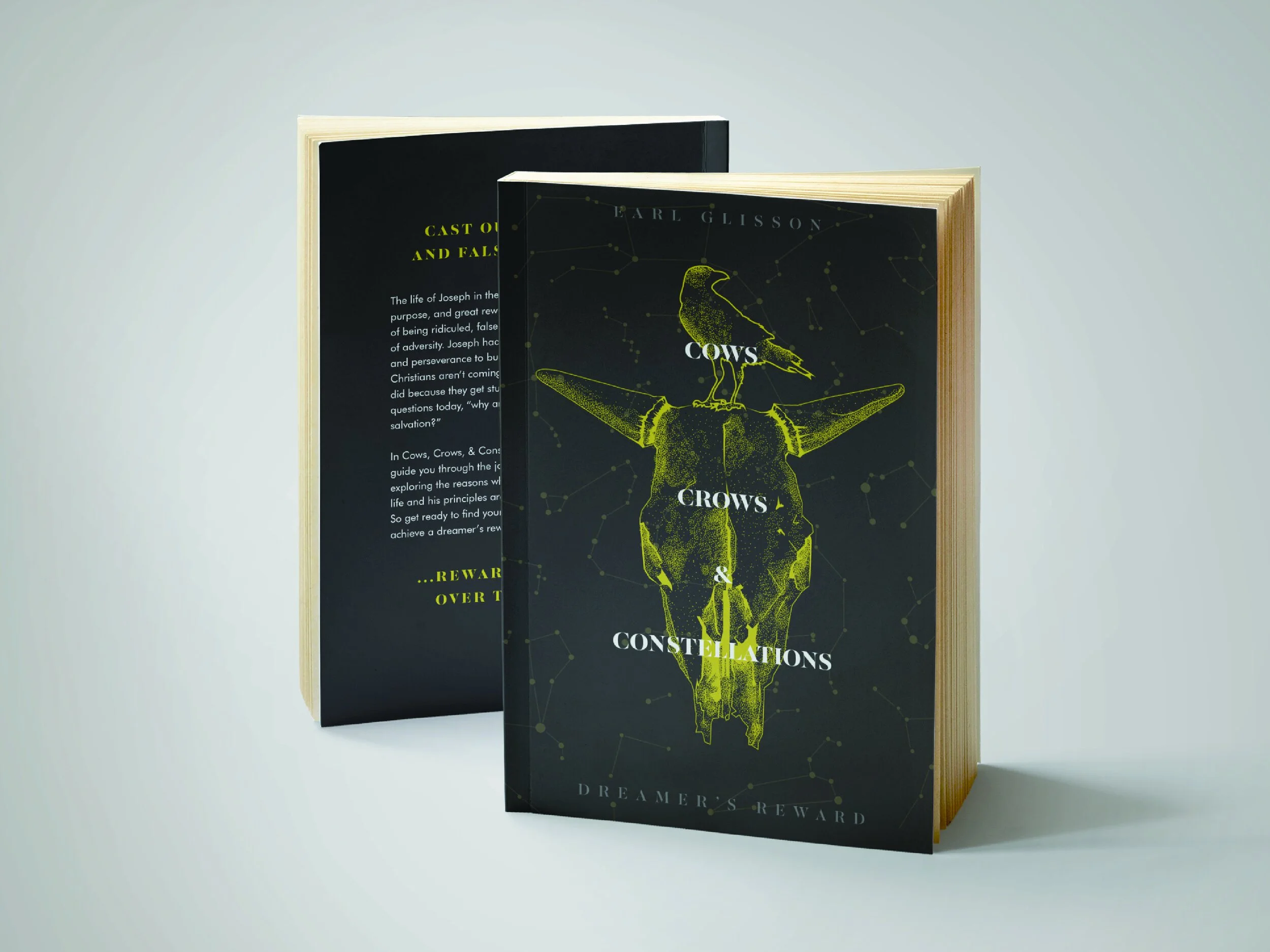 ccc-dribbble-book-01.jpg