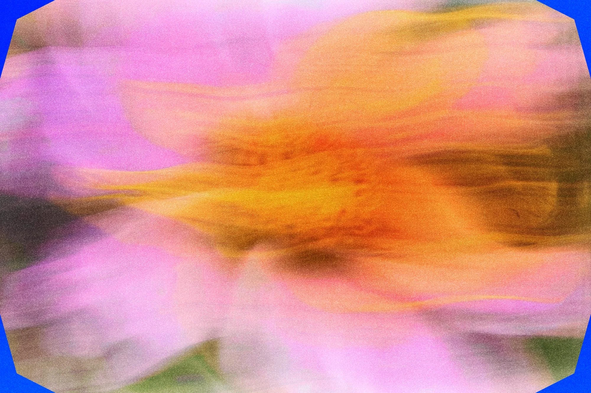 Blurred Flowers copy.jpg