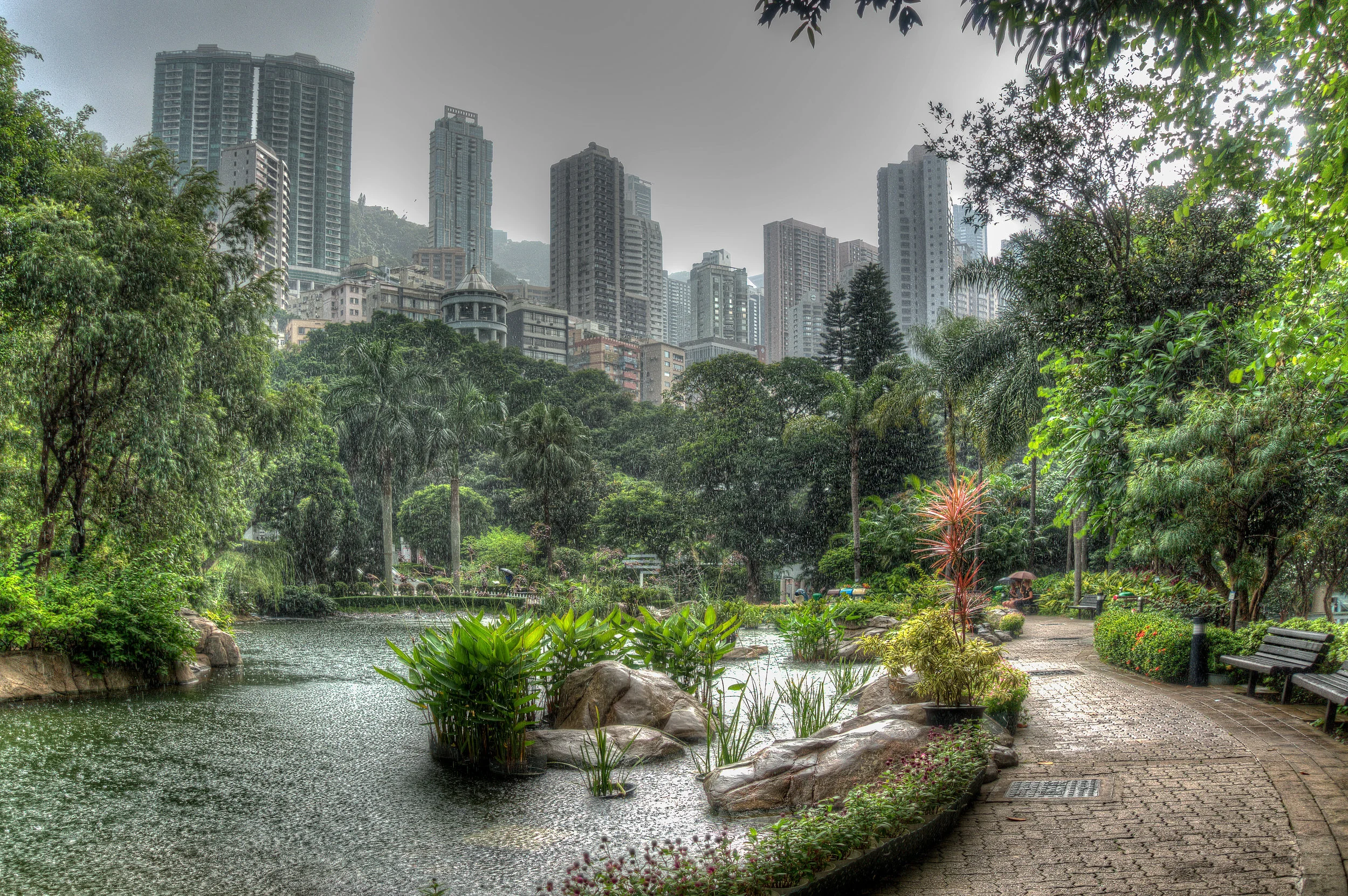 Hong Kong in the rain