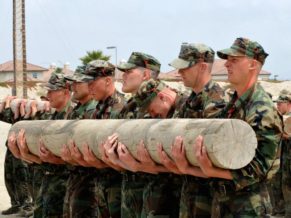 seal-training.jpg