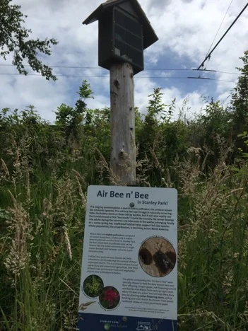 Bee sanctuary in Stanley Park, Vancouver, BC. Photo by Anne Marie Lyons