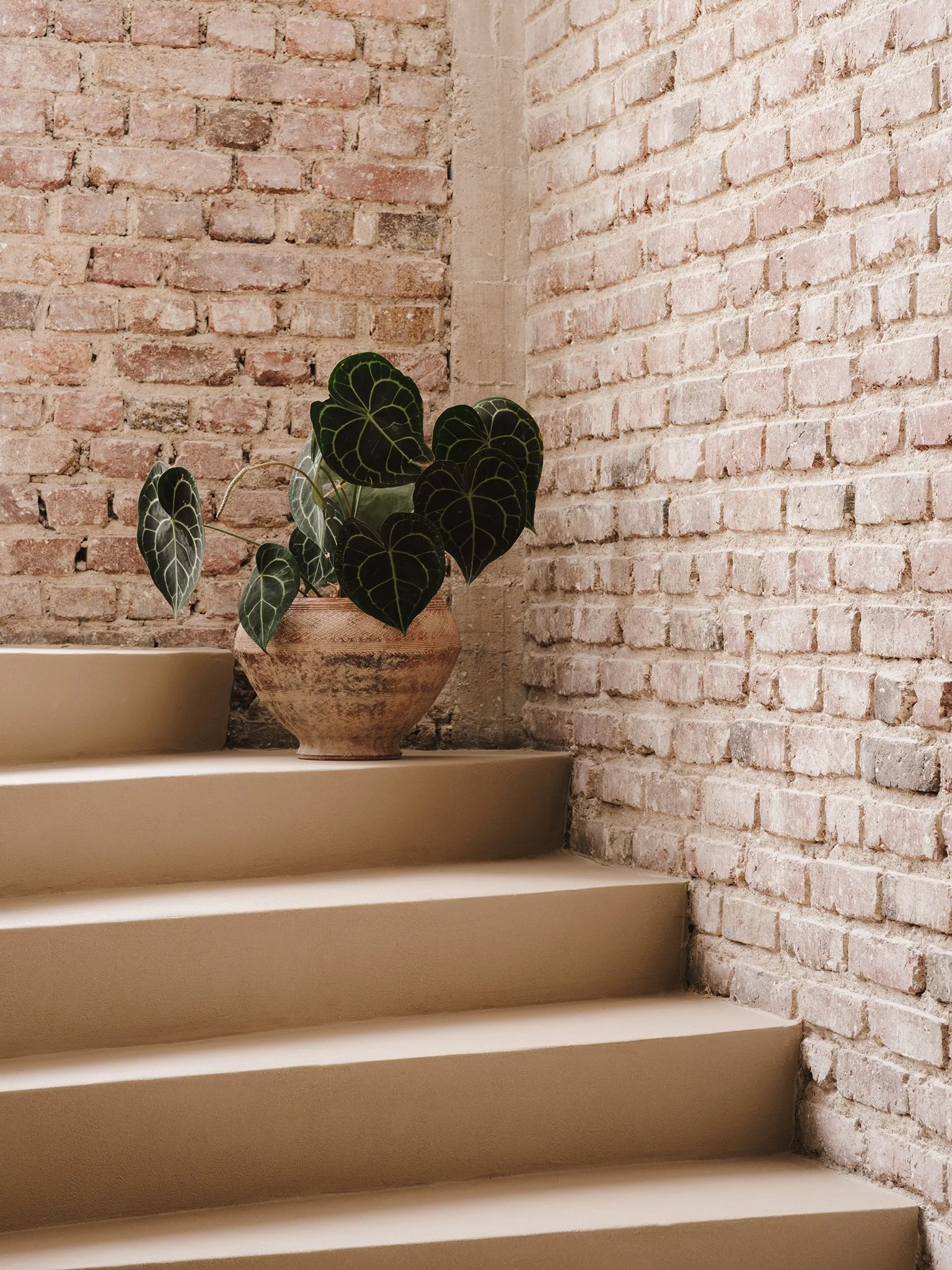 2025 04 23_JKA_LOUVET_HAUTEVILLE_010.jpg