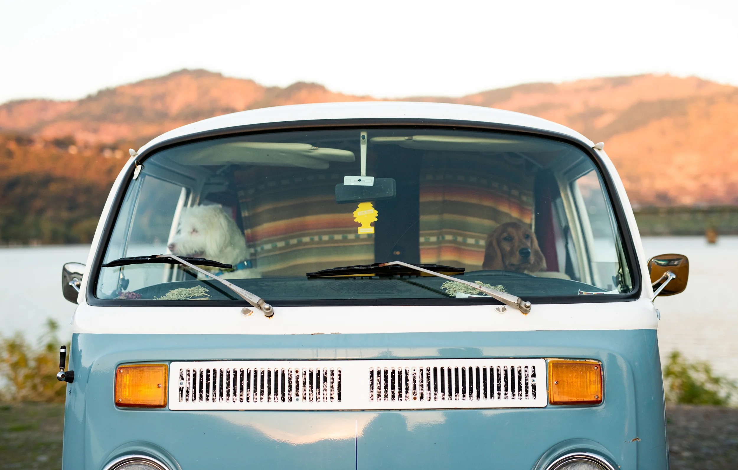 FotoBus_TresBuses_JJFoto2018_Web-12.jpg