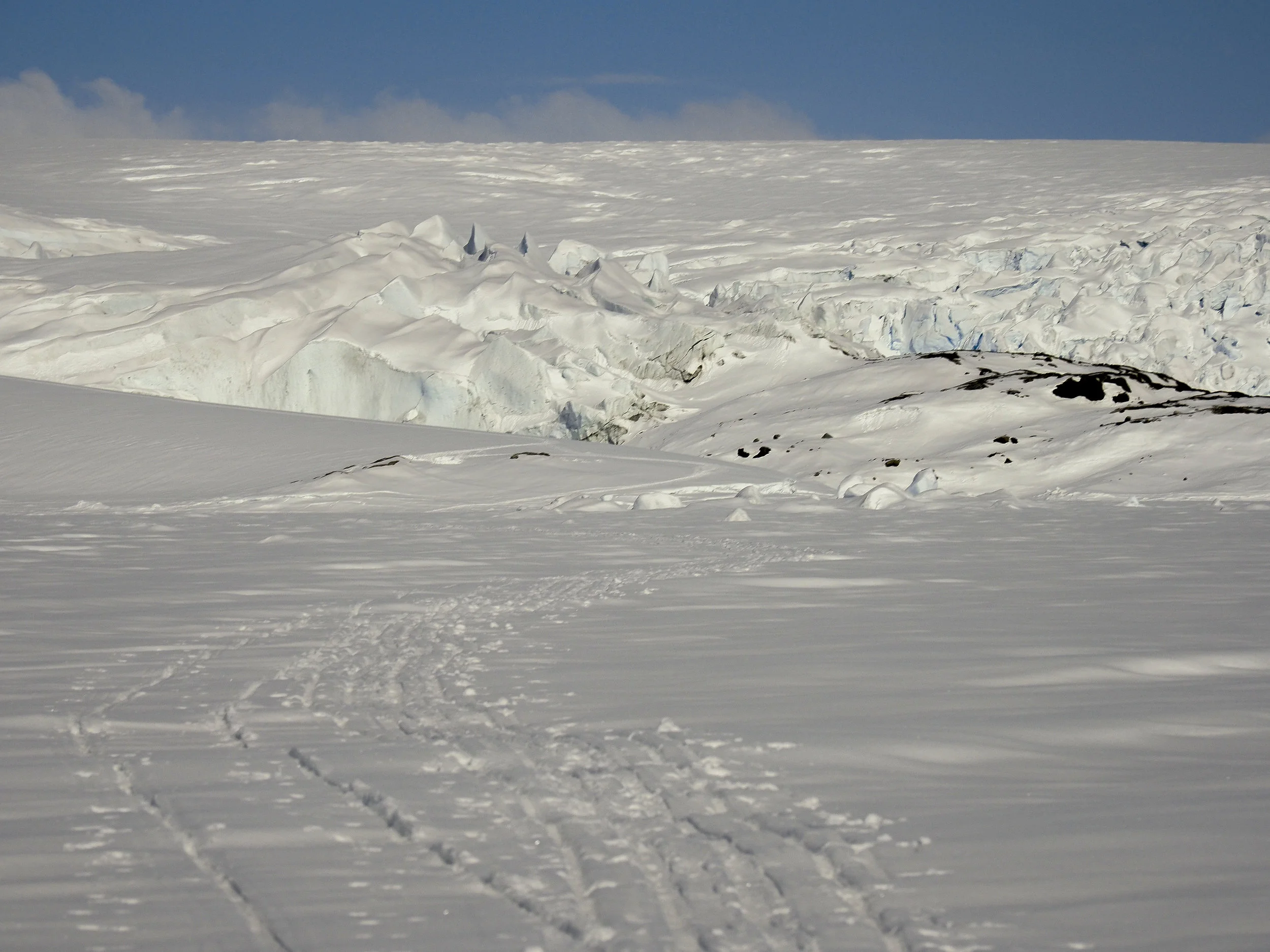 P4223987-2.jpg