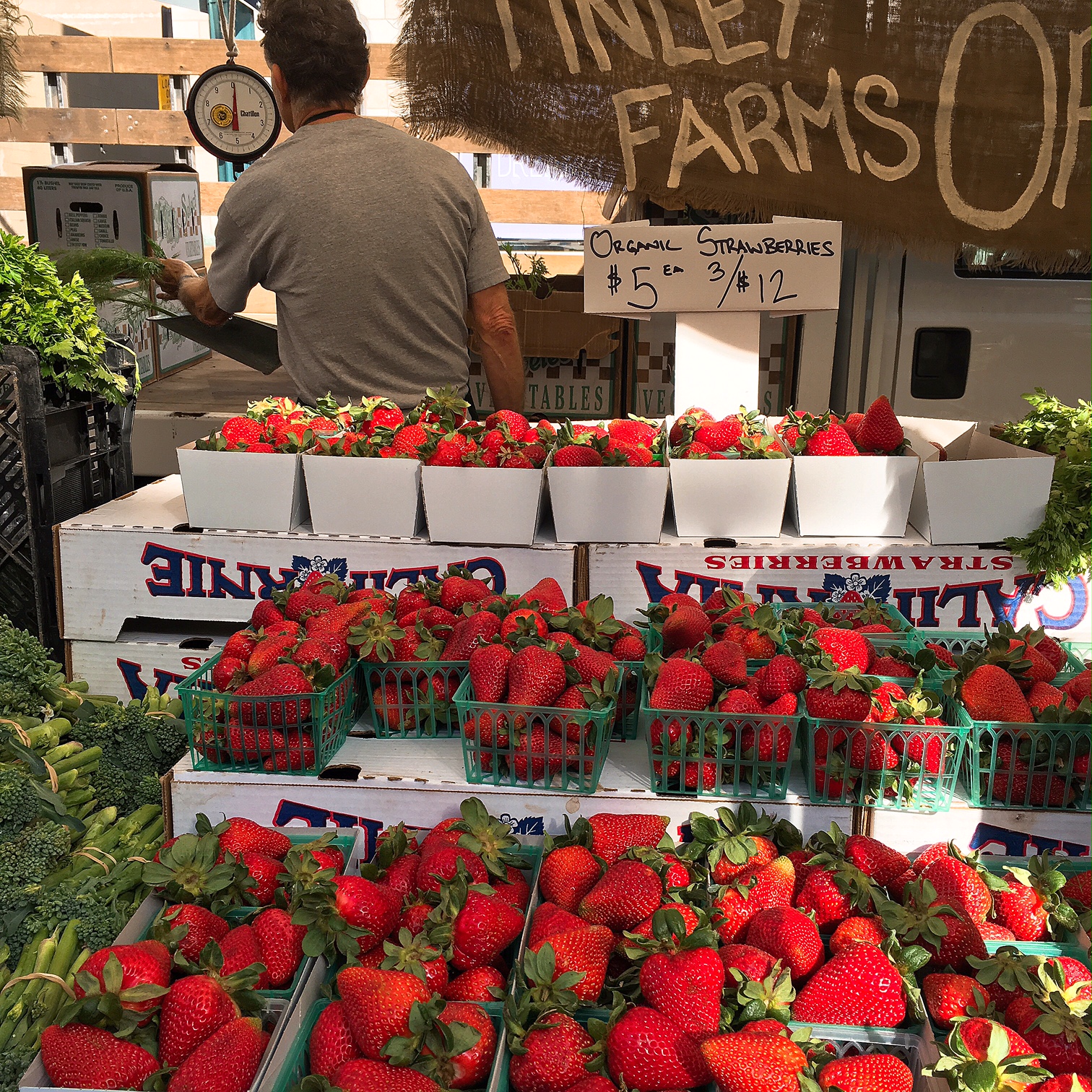 Finley Farms. Just one of the many strawberry vendors at the Santa Monica Farmers Market. 