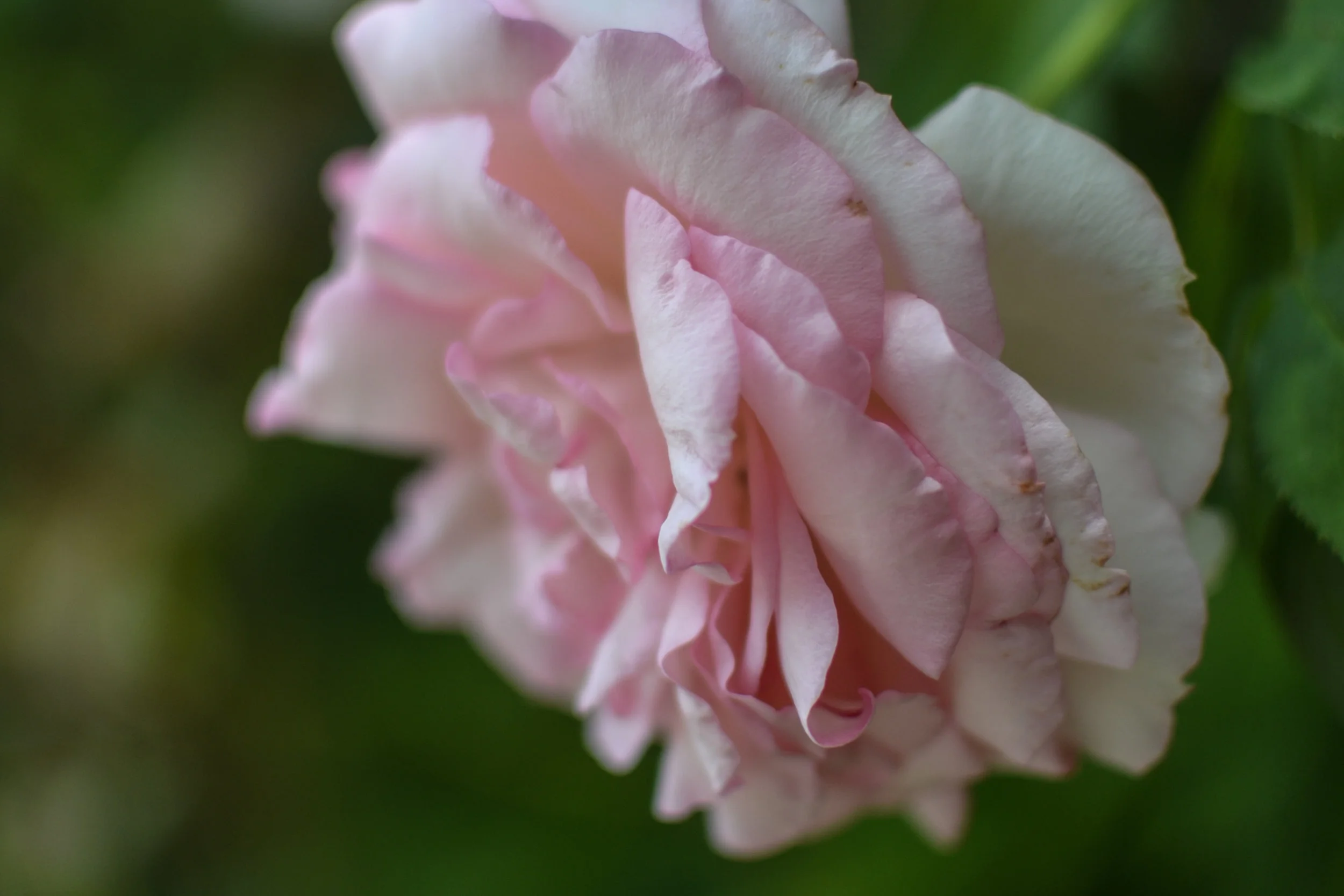 DSC_5121.jpg