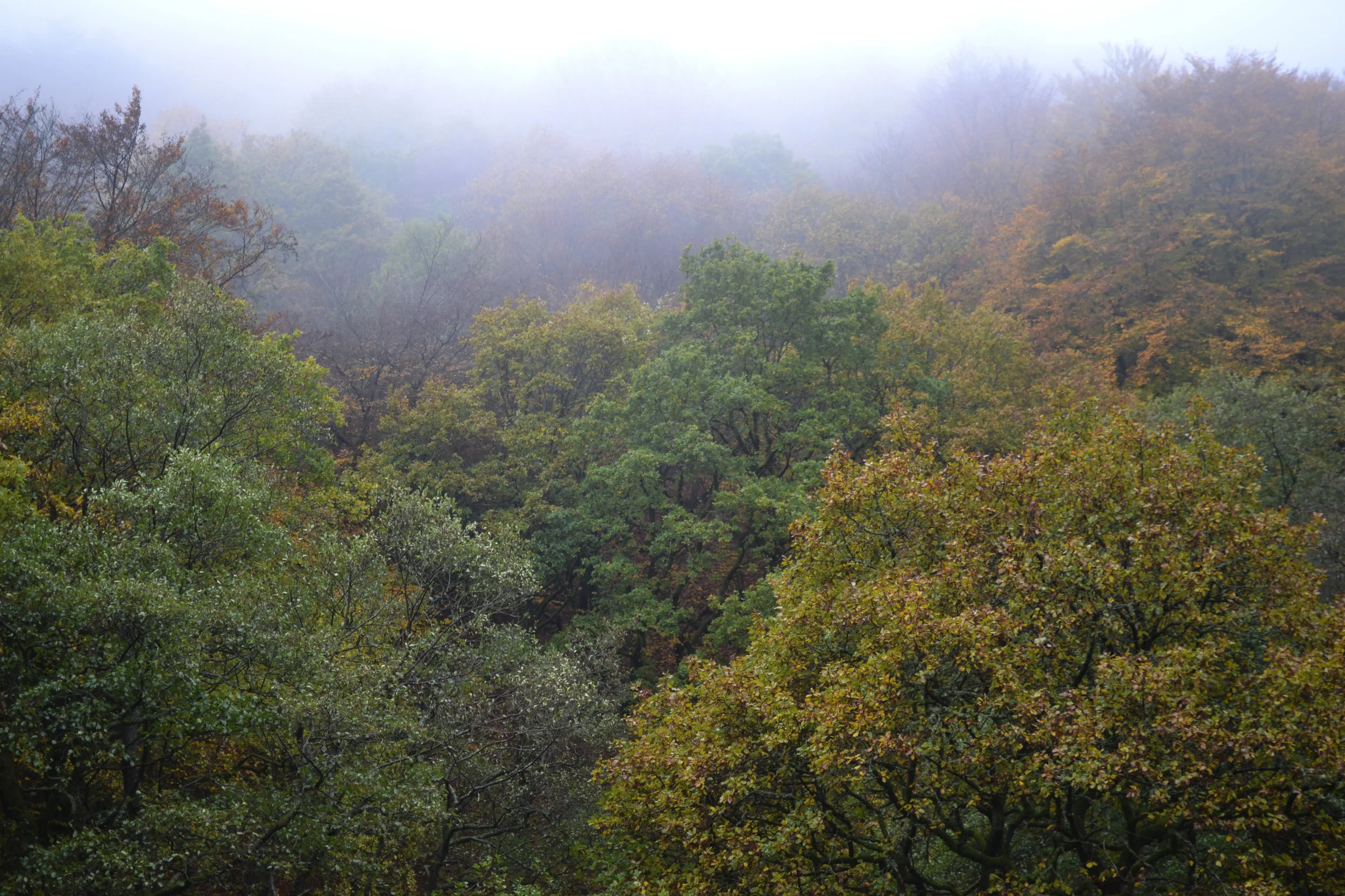 DSC_7075.jpg