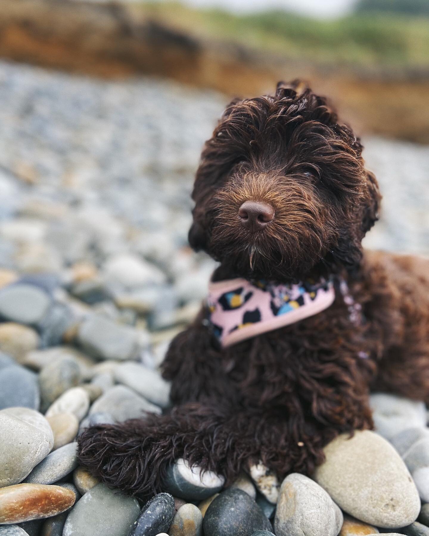 Baby&rsquo;s first trip to the seaside 🌊