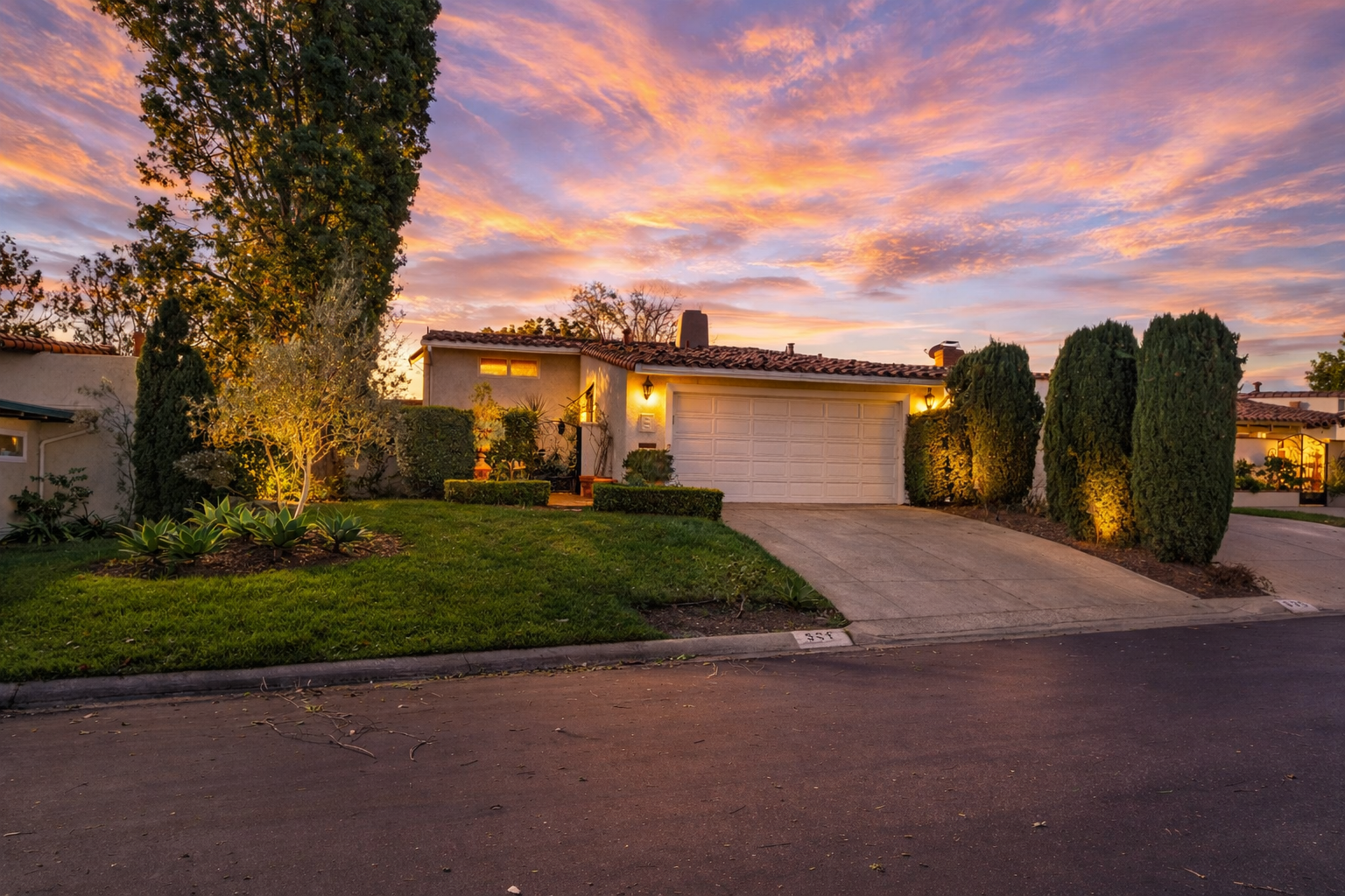 539 Vista Flora-SNAP Sunset.png