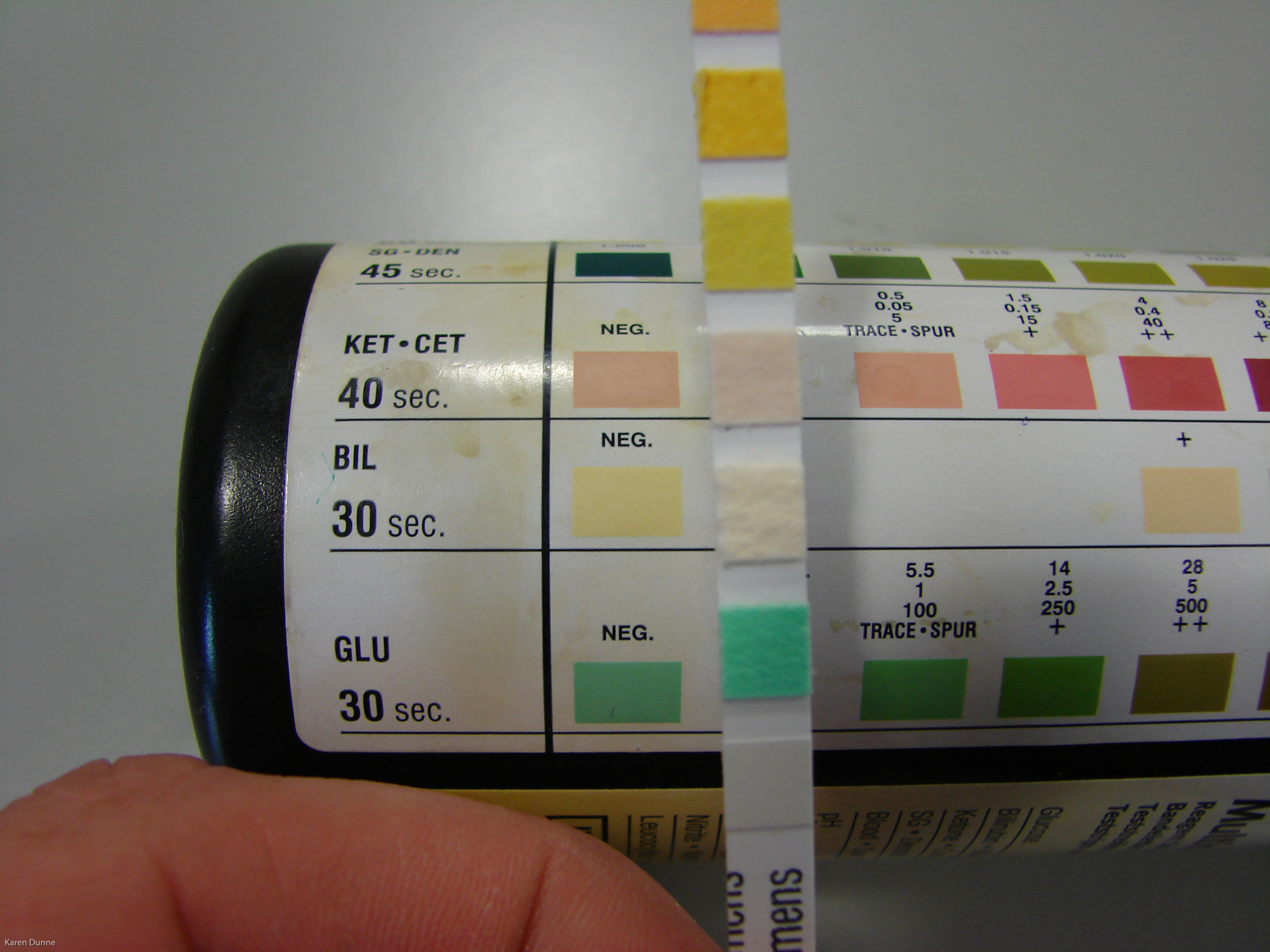 Urine test strips — Vet Nursing Education