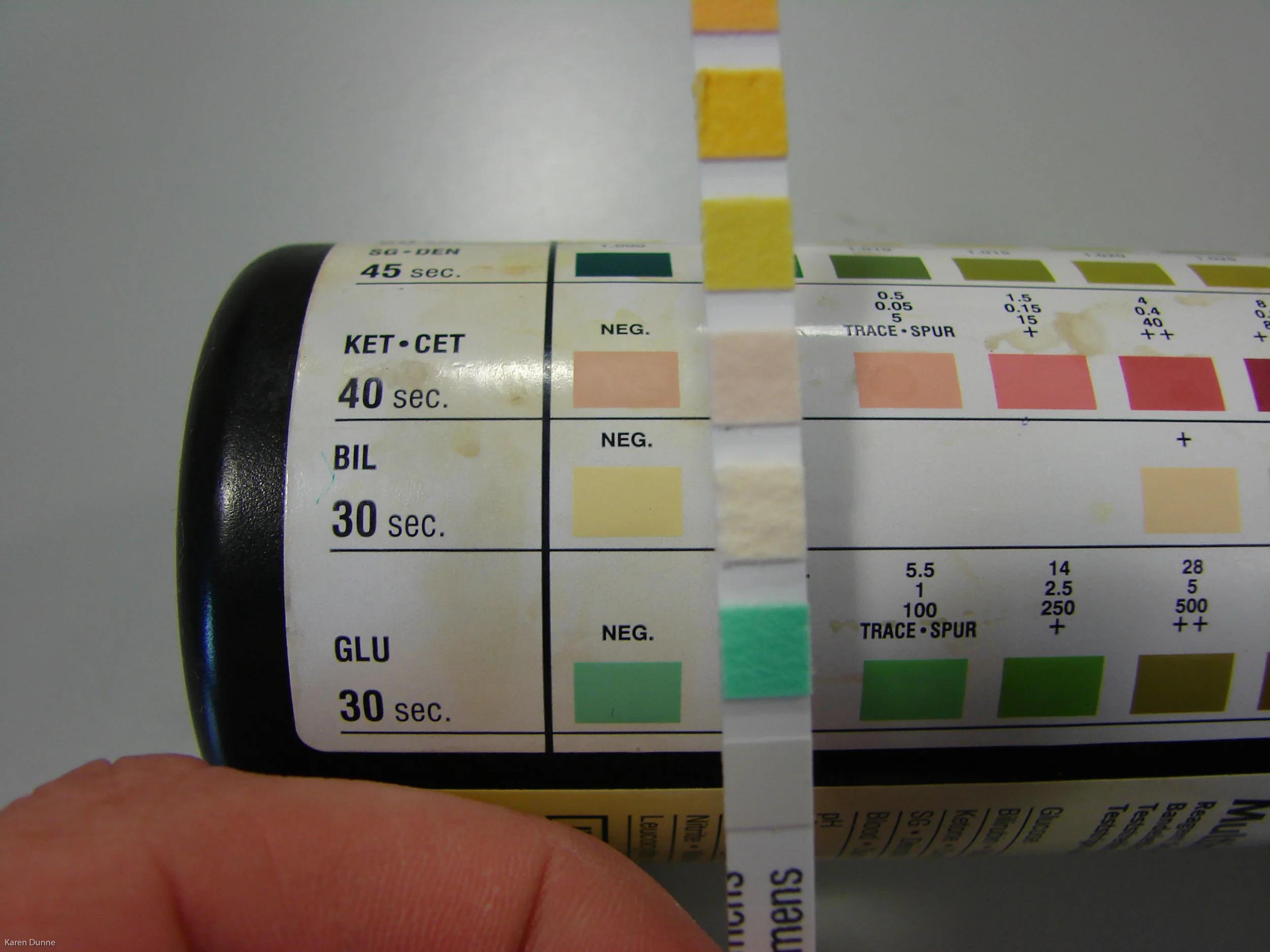 Urine Test Strips Vet Nursing Education