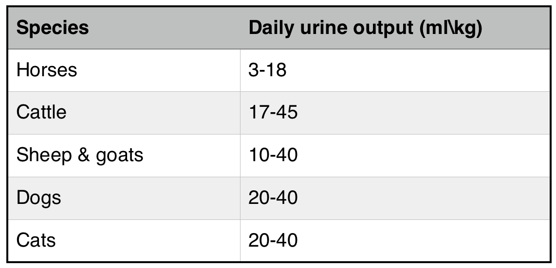 Normal 24 Hour Urine Amount: Urine Output Chart – JUFVG