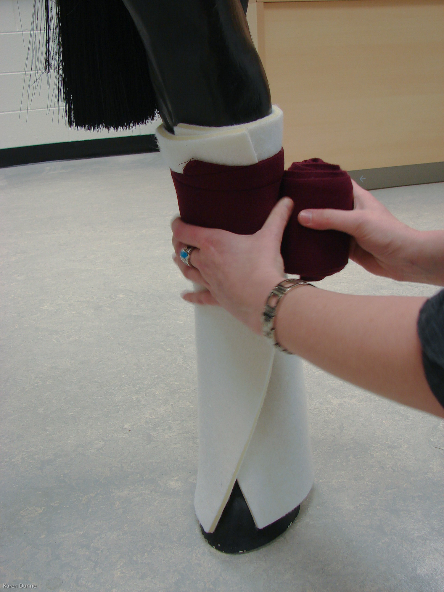 Stable bandaging — Vet Nursing Education