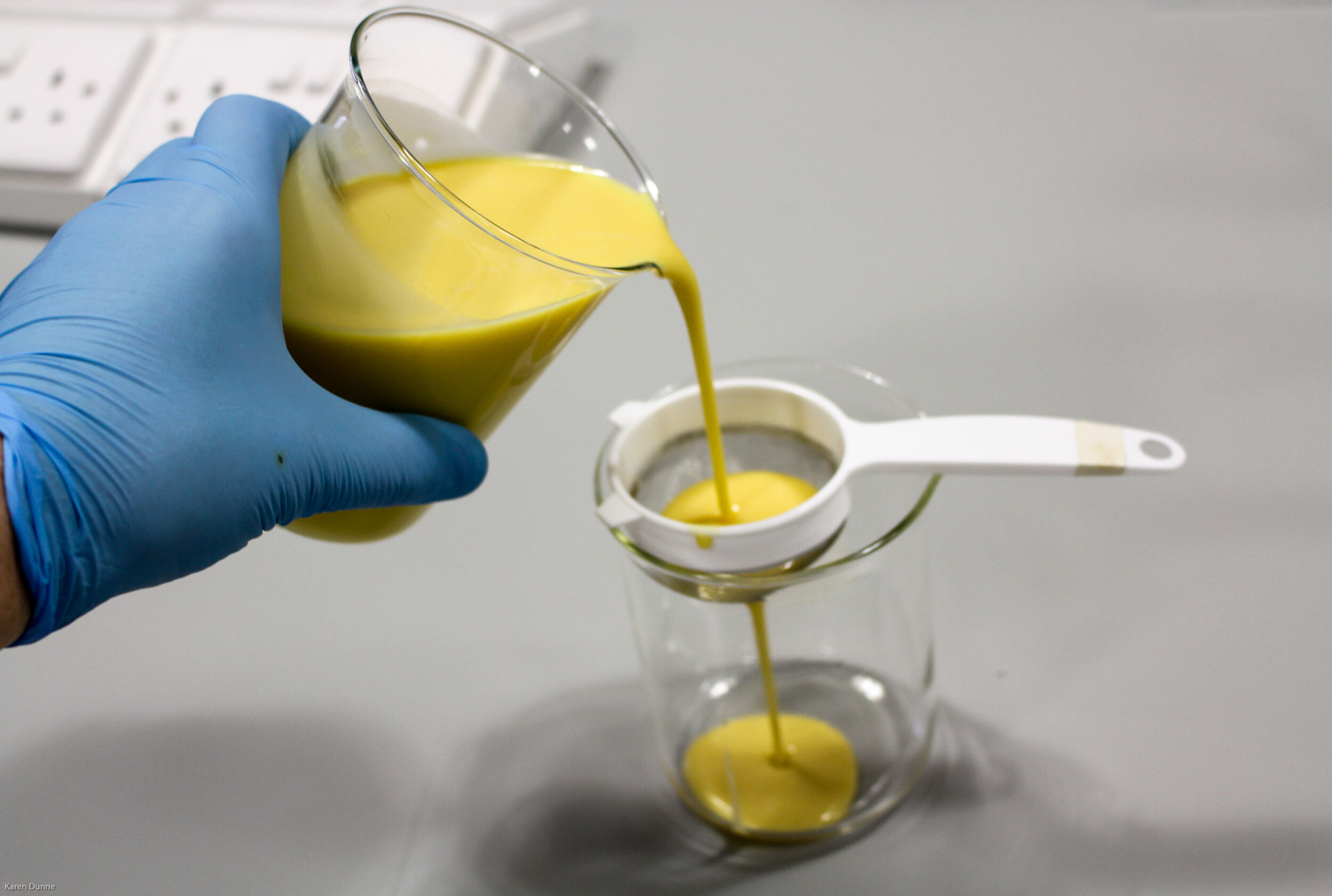  If more than a few drops of colostrum were collected it should filtered before being assessed or fed 