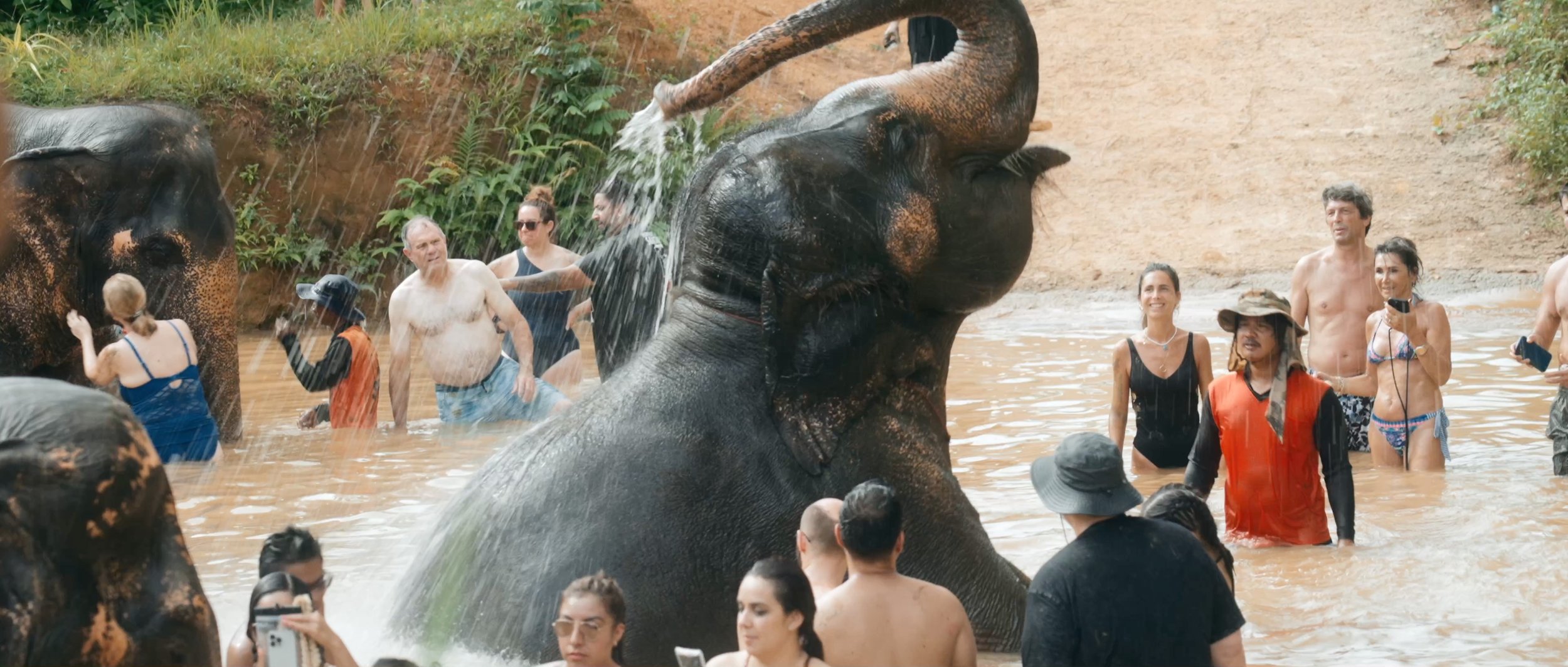 An elephant at a sanctuary spraying water on itself, surrounded by caretakers and visitors assisting in its bath