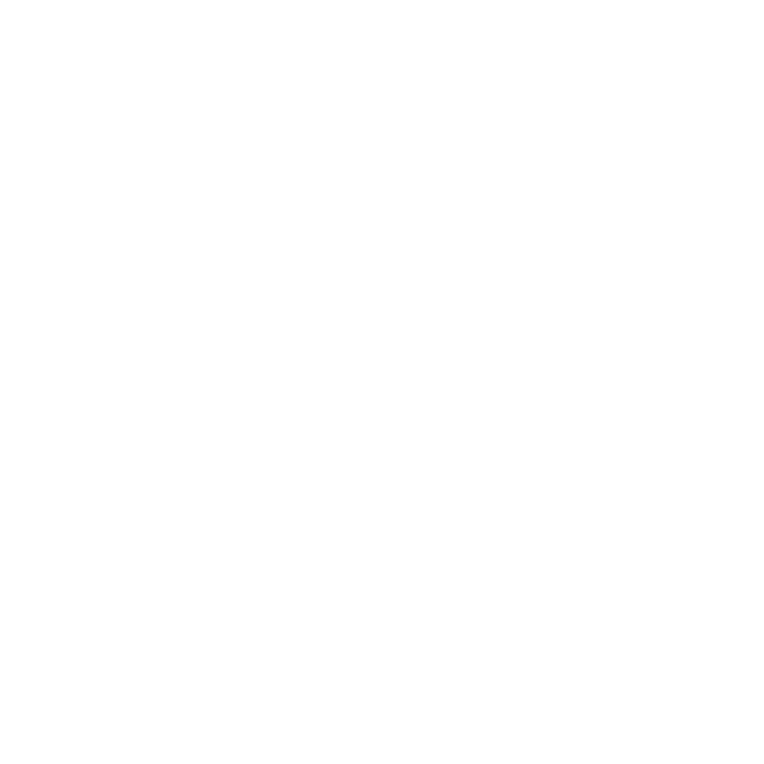 BigMoon-Falcon-Logo.png