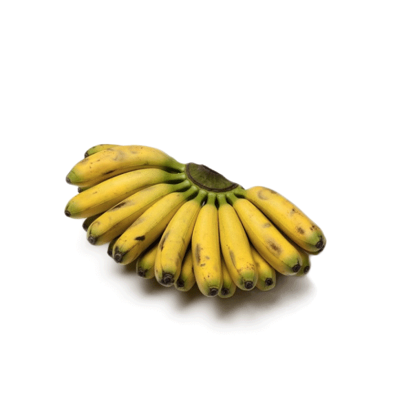 kjahksjdh.png