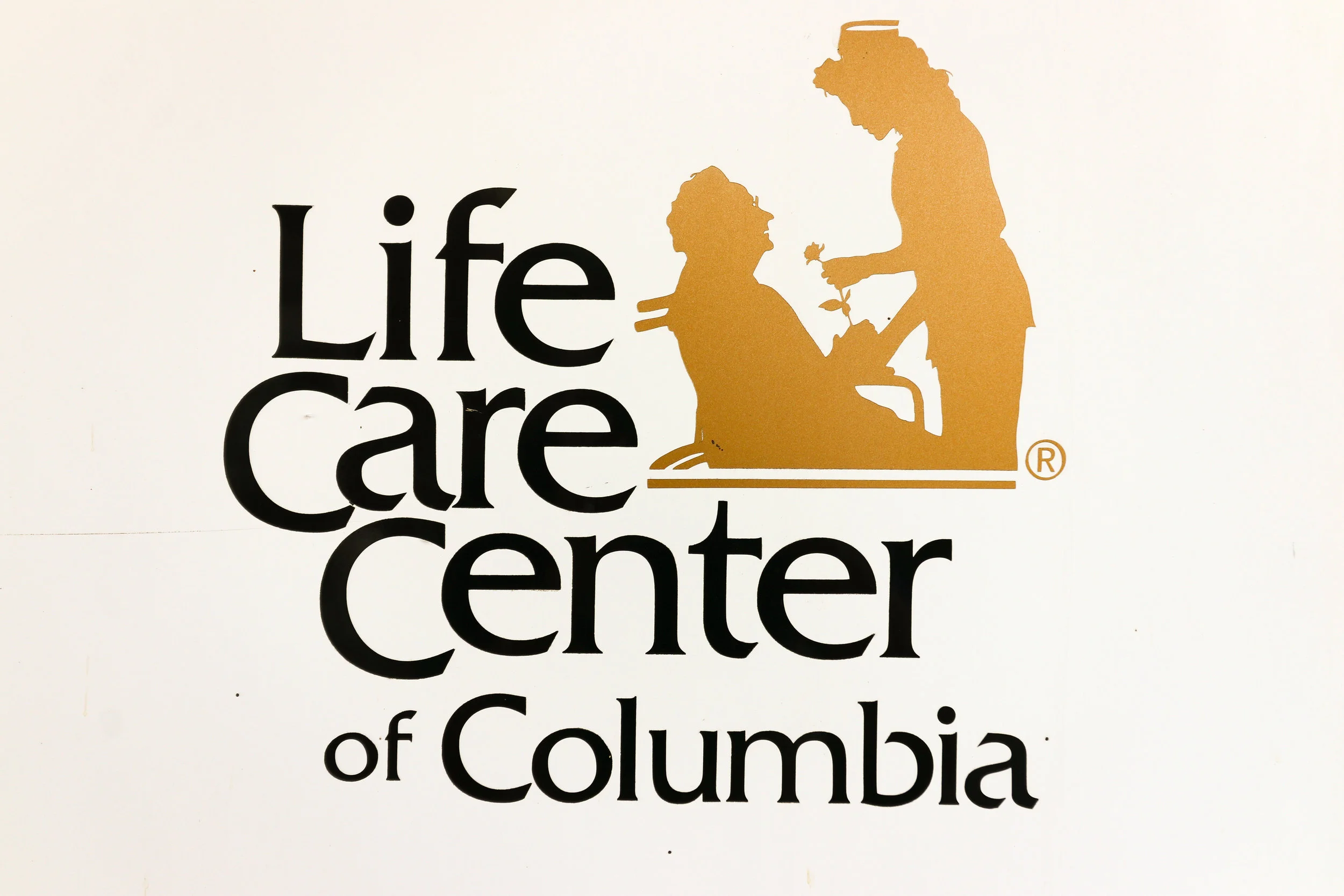 2017-09-28 LIFECARE SR FAIR (1 of 96).jpg