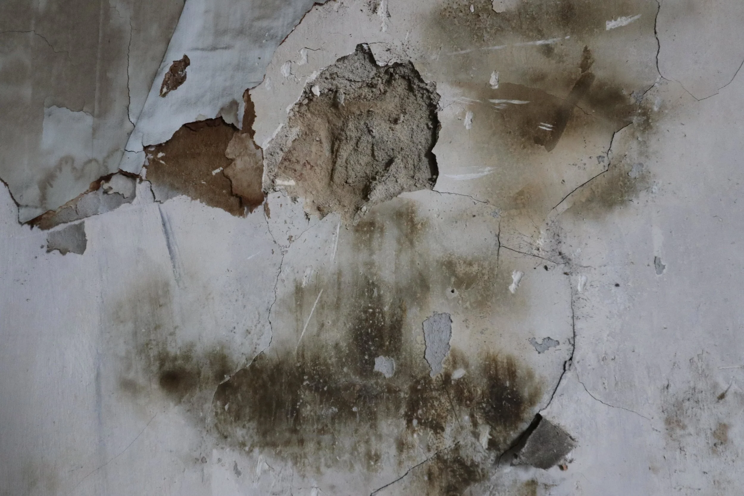 layers (40 of 43).jpg
