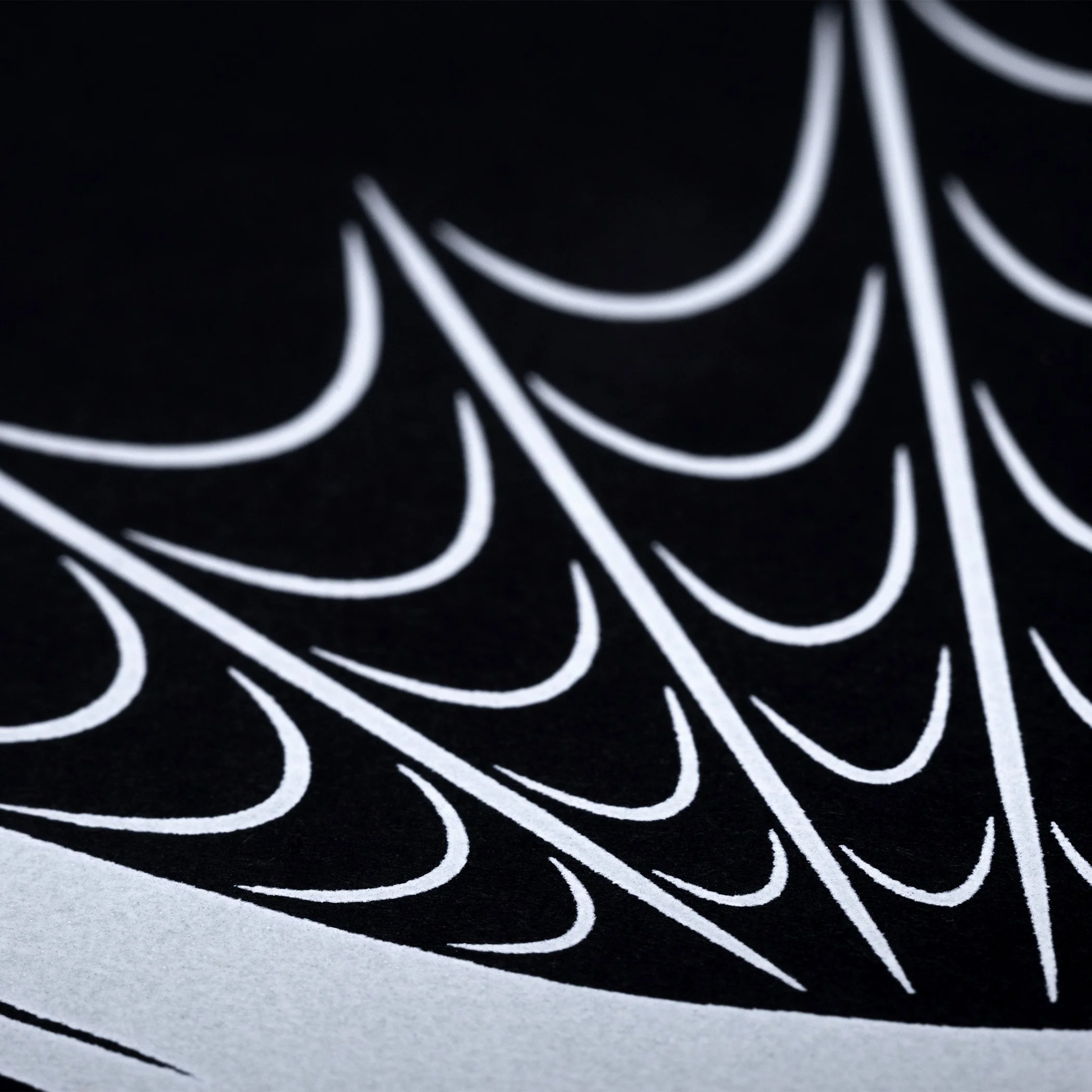 26-Bradford-Design-Co-SD-Bones-San-Diego-Poster-Details-3-Shop.jpg