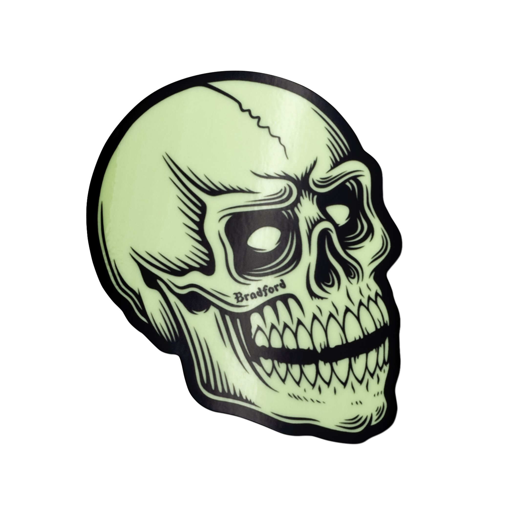 26-Bradford-Design-Co-SD-Bones-San-Diego-Skull-Stickers-Shop.jpg