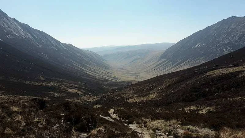 The Saddle and the Goats