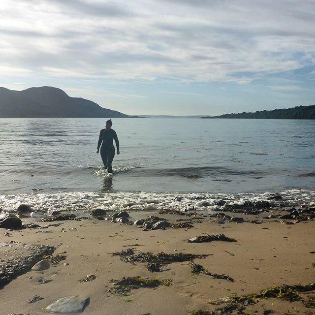 Good morning from Lamlash Bay. This was a nice way to start the day! 🐳