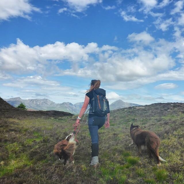 I missed these three, esp the human one 🦊👸🦁. So good to get out today, chew the fat, laugh, squelch about in the bog and the heather, all the while looking at the big hills and hoping we can be in them soon. Till then we #staylocal, but at least I