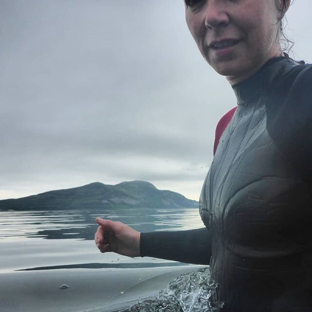 Perfect still morning and a high tide. Gorgeous silky seawater. Saw a crab 🦀 scuttling about on the seabed during my dip. 💙 #30dayswild