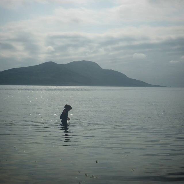 Loving these still mornings and high tides. 🐳  Thank you @wallyswheels for joining me this morning 🙏. #30dayswild