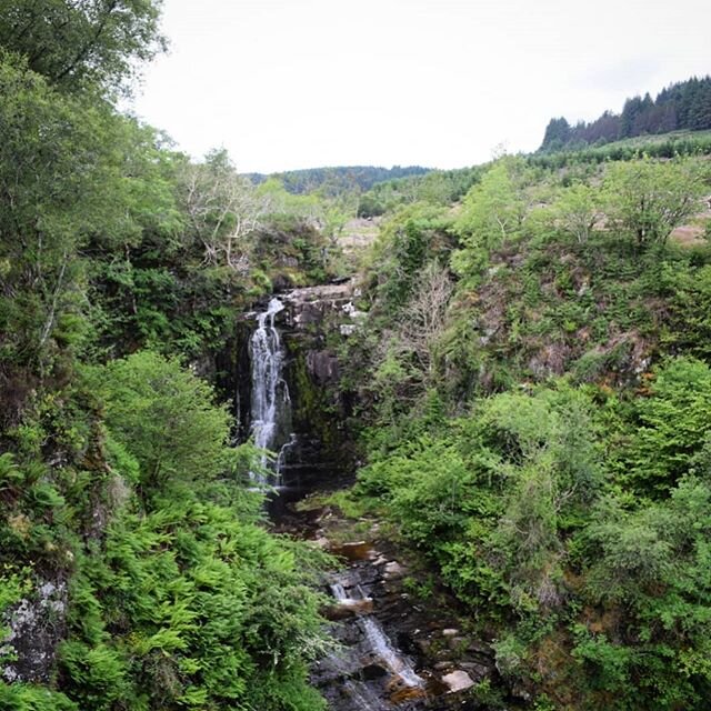 Hot and muggy walk up to Glenashdale falls, felt like the Amazon rainforest today! Hayfever at Defcon 1 😵. #RoamSweetHome