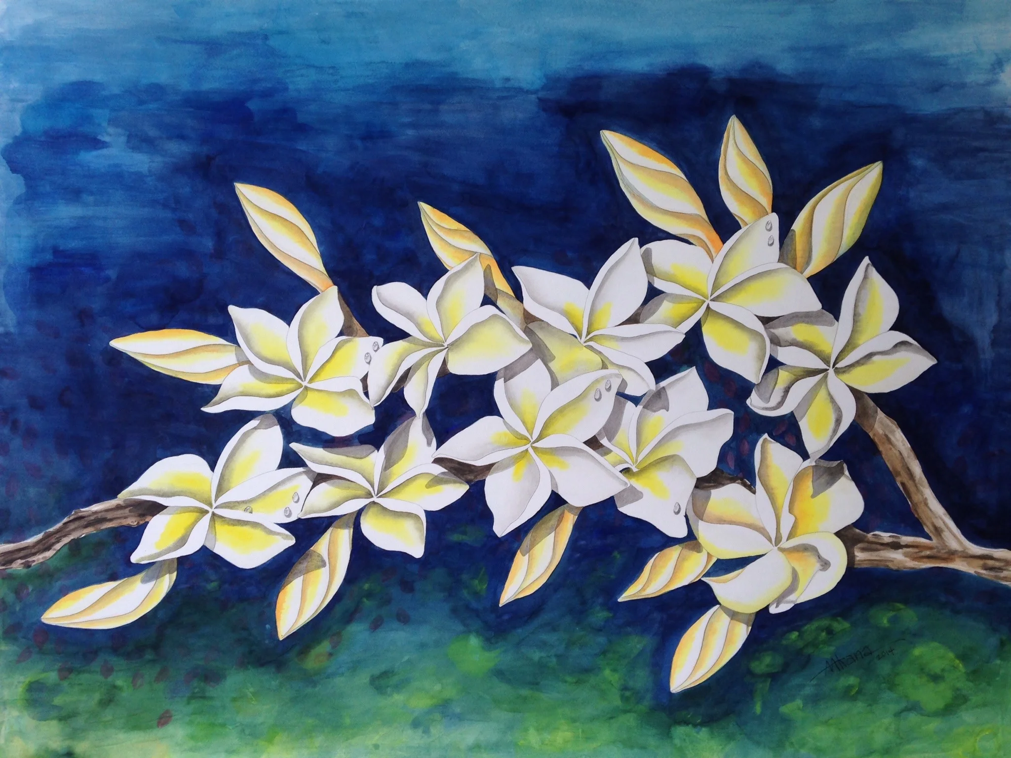 Yellow Plumeria on Blue and Green