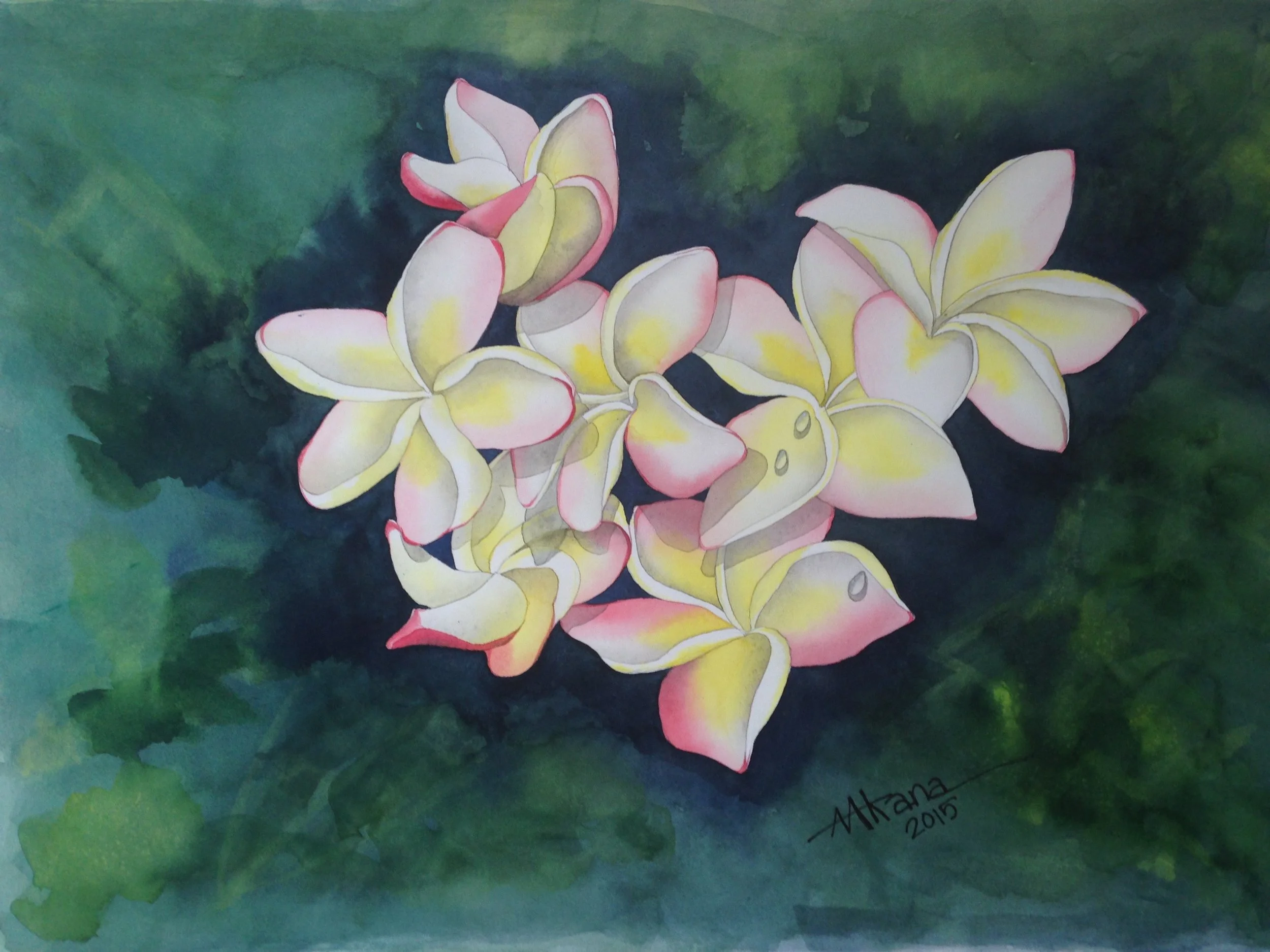 Poipu Plumeria